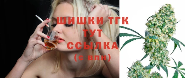 твердый Армянск