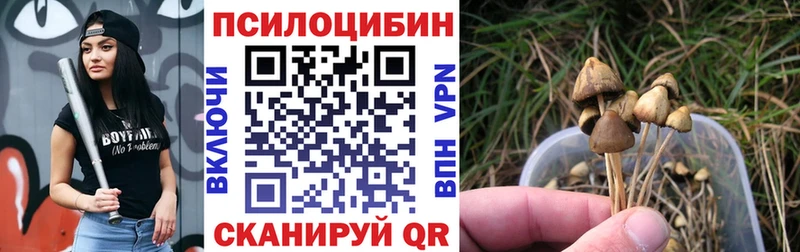 Галлюциногенные грибы Cubensis  mega ТОР  Любань 